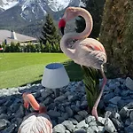 Exklusives Berg-bijou Mit Bergblick Mit Privaten Wellnessbereich Hot Tube Und Sauna -hunde Herzlich Willkommen Mit Eingezaeunten Grundstueck Дом отдыха Скуоль