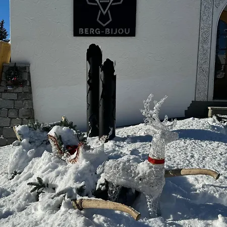 Holiday home Berg-bijou Scuol