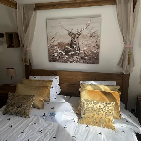Berg-bijou * Scuol