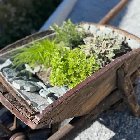 Ferienhaus Berg-bijou