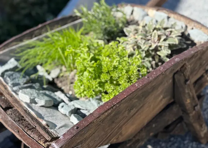 Casa de Férias Berg-bijou Mit Bergblick