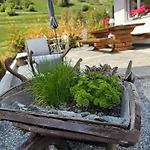 Exklusives Berg-bijou Mit Bergblick Mit Privaten Wellnessbereich Hot Tube Und Sauna -hunde Herzlich Willkommen Mit Eingezäunten Grundstück Scuol