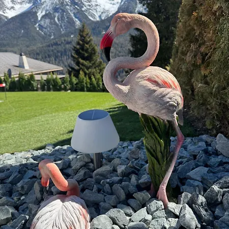 Exklusives Berg-bijou Mit Bergblick Mit Privaten Wellnessbereich Hot Tube Und Sauna -hunde Herzlich Willkommen Mit Eingezaeunten Grundstueck Hébergement de vacances Scuol